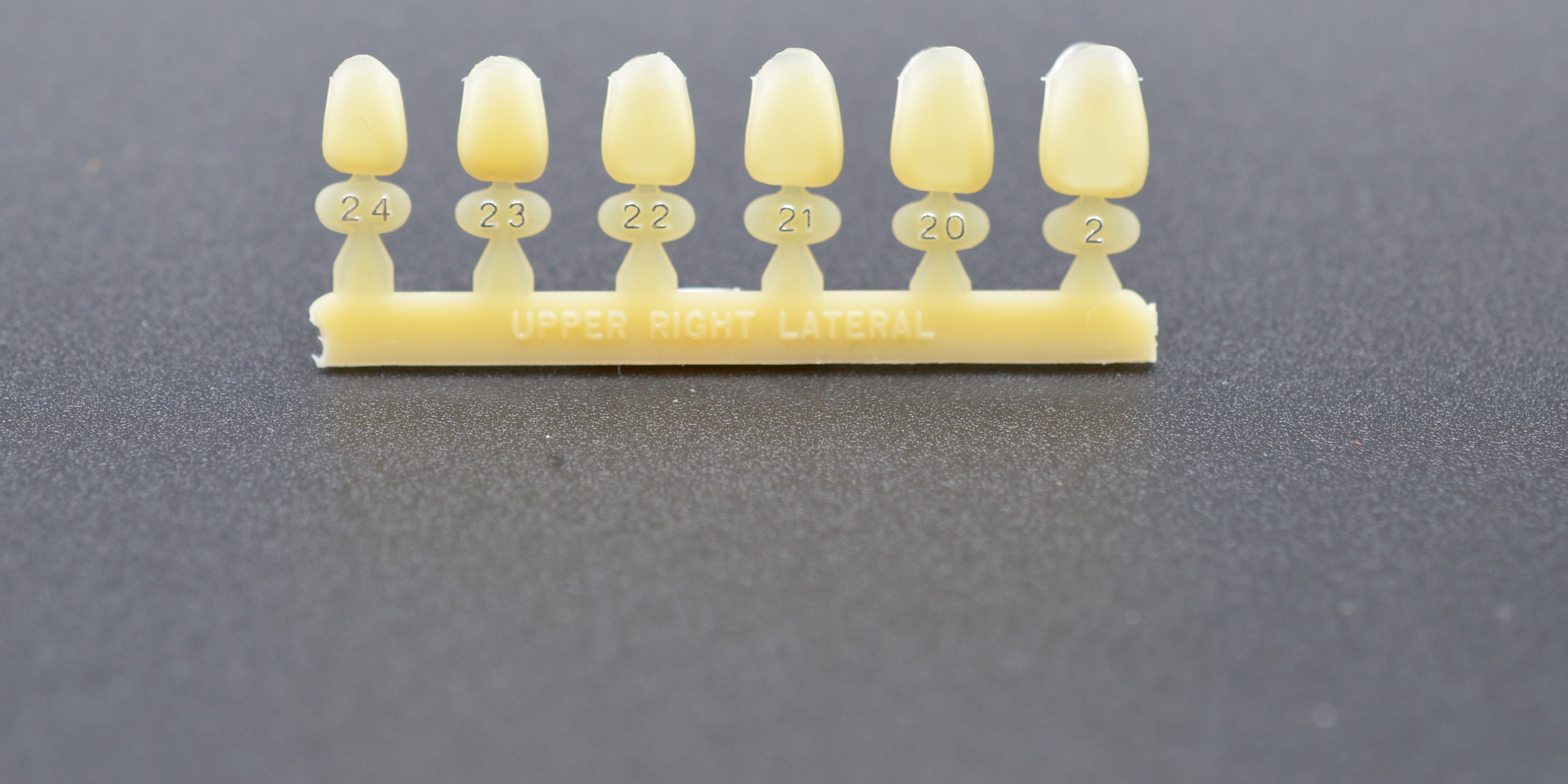 CORONE POLICARBONATO INLINE N.24X5P