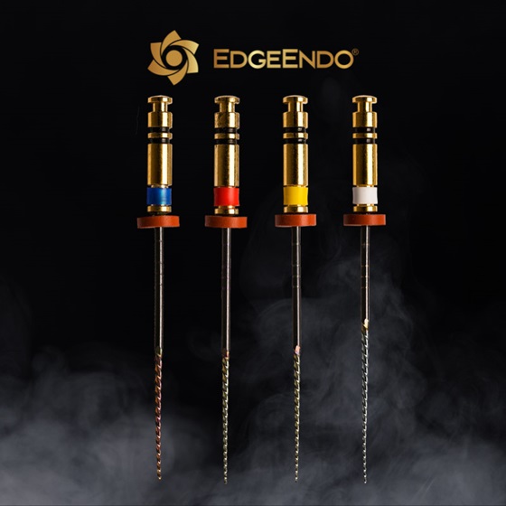 File Legacy EdgeEndo®
