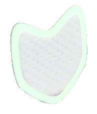 DRYDENT DIRECTA PAROTID LARGE 50 PZ