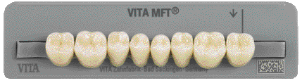 MFT DENTI X 8 COL 2M1 PL33 VITA