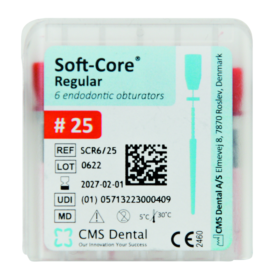 SOFT-CORE OTTURATORE N.25 x 6 PZ