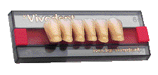SR VIVODENT X6 COL.1E A3 IVOCLAR