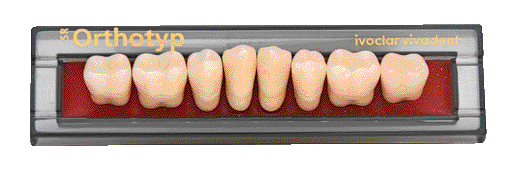 SR ORTHOTYP X8 COL.1D N6I IVOCLAR