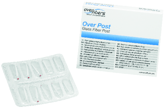 PERNI PROSTHETIC OVER POST MIS.2 x