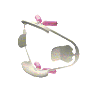APRIBOCCA OPTIVIEW KERR STD x 2 PZ