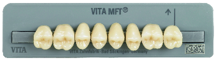 MFT DENTI X 8 COL A2 PU31 VITA