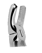 PINZA ESTRAZIONE ASA N.17