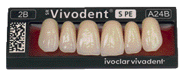 SR VIVODENT S PE X6 COL.2B/A24B IVO