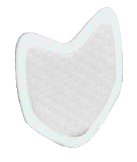 DRYDENT DIRECTA PAROTID SMALL 50 PZ