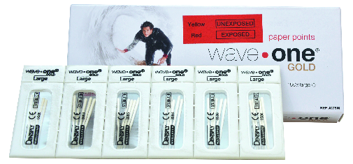 PUNTE CARTA LARGE x WAVE-ONE GOLD18