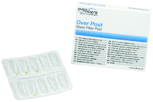 PERNI PROSTHETIC OVER POST MIS.1 x