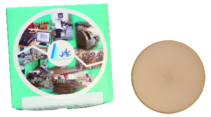 SMILE PEEK DISCO 98,5x20MM  BEIGE
