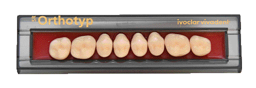 SR ORTHOTYP X8 COL.4C N6S IVOCLAR