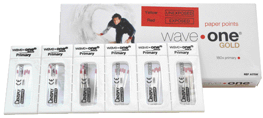 PUNTE CARTA PRIMARY x WAVE-ONE GOLD