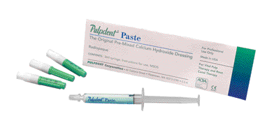 PASTE KIT PULPDENT