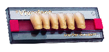 SR VIVODENT X6 COL.4C A7 IVOCLAR