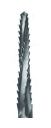 FRESA TUNG. HP CB166 021 1 PZ