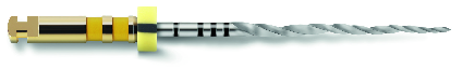 Strumenti Canalari - PROTAPER NEXT MLF X5 31 MM 6 PZ