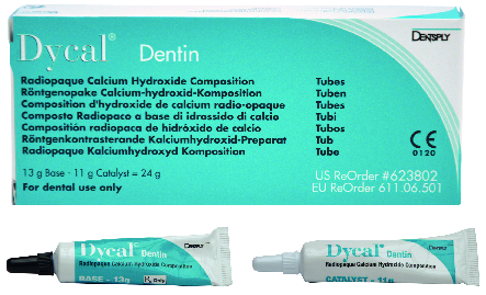 DYCAL DENTINA BASE 13 G+CATALIZ. 11