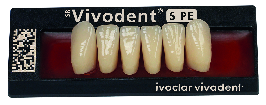SR VIVODENT S PE X6 COL.6B/A8 IVOCL