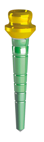 PIVOT OT EQUATOR 10 MM x 1 PZ