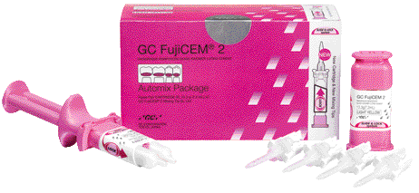FUJICEM 2 SL 2  2x 13,3 G