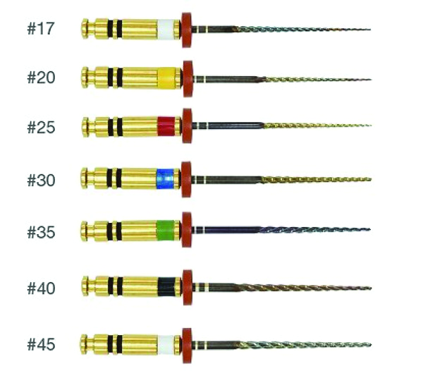 Endodonzia - EDGEFILE X7 EDG 06 N.17/21 MM 6 PZ
