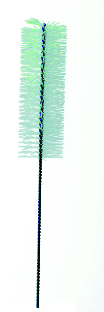SCOVOLINI PARO ISOLA LONG G 5 PZ
