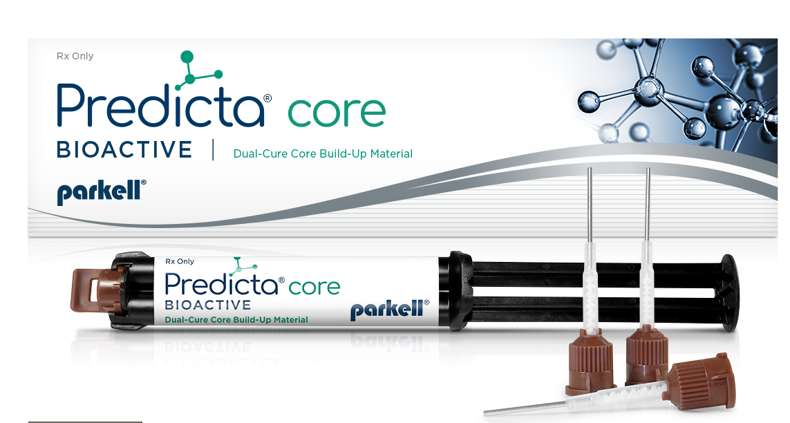 PREDICTA CORE FLOWABLE NATURALE SIR