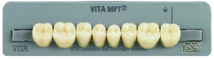 MFT DENTI X 8 COL 4L1,5 PL31 VITA