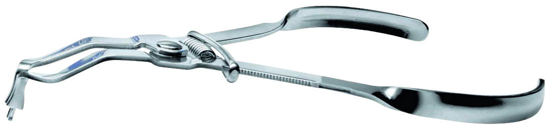 PINZA IVORY ALLARGA GANCI