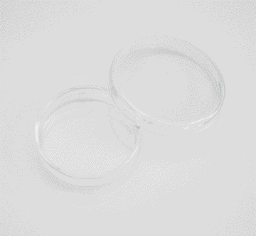 SCATOLE PETRI VETRO TRASP.  Ø 6 CM