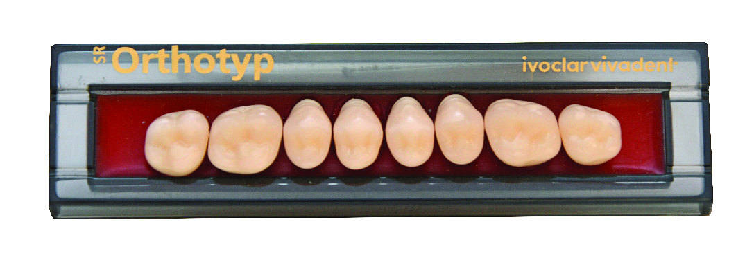 SR ORTHOTYP X8 COL.1A N6S IVOCLAR