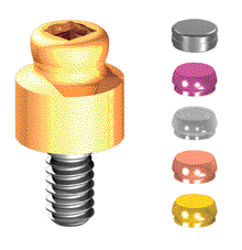 OT EQUATOR H3 MM PER GOLD/PLATINUM