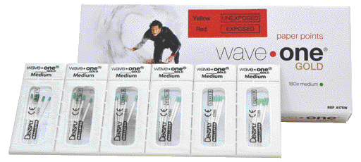 PUNTE CARTA MEDIUM x WAVE-ONEGOLD18