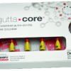 Endodonzia - GUTTA CORE PINK MLF N.30 x 6 PZ