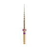 Endodonzia - EDGETAPER PLATINUM EDG S1 31 MM 6 P