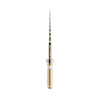 Endodonzia - EDGETAPER PLATINUM EDG S2 31 MM 6 P