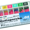 Endodonzia - CONI GUTTA  VDW 04 ASS/28 MM x 60 P