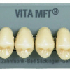 Laboratorio - Denti Mft x 8 Col D3 Pu33 Vita