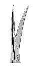 FORBICI IRIS Curva 11,5 cm